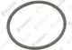VAILLANT-Lippendichtring-EPDM-DN-200-Systeme-160-200-PP-u-w-Vaillant-Nr-0020112667 gallery number 1